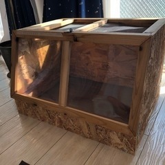 爬虫類　ケージ