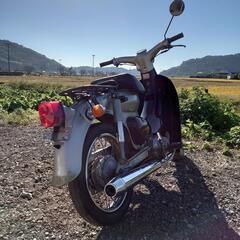 ホンダ リトルカブ C50 中古実動の画像