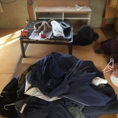 洋服大量無料！早い者勝ちの画像