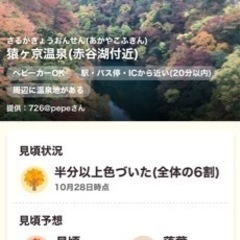 河口湖うの島でランチサップは延期となりました。supその3 - 南都留郡