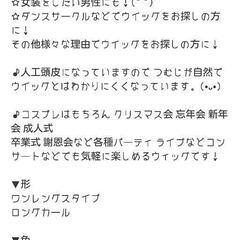新品ﾛﾝｸﾞﾌﾙｳｨｯｸﾞの画像