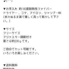 新品ﾛﾝｸﾞﾌﾙｳｨｯｸﾞの画像