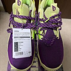 adidas DAME8 / 28cm US10の画像