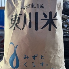 令和3年産　ゆめぴりか