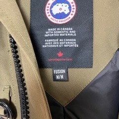 カナダグースの画像