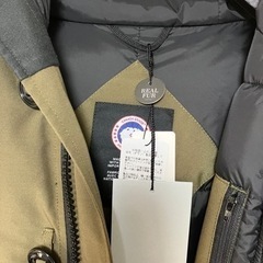 カナダグースの画像