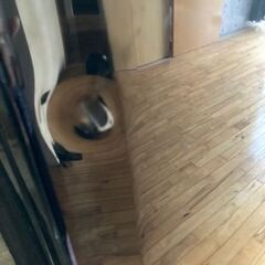 中古美品☆MITSUBISHI冷蔵庫 MR-P17E-Bの画像