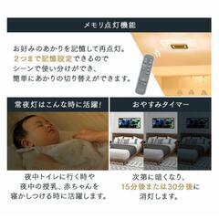 アイリスオーヤマ　新品保証書付き　12畳シーリングライト