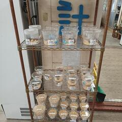 10/29◎直売◎クワガタ販売中☆★岡山、倉敷、船穂、玉島★☆
