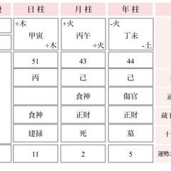【終了】✨京都発✨女神式四柱推命鑑定 無料モニター様募集❣️【期間限定】 - 京都市