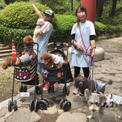 犬のお預かりの画像