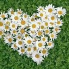 緩い大人のグルチャ✩.*˚
