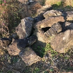 大きな石60個を無料で差し上げます。