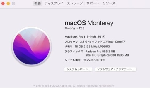 【値下げ不可】MacBook Pro (2017モデル)