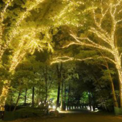 森林公園 散策しましょう！