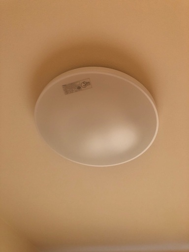 ライト　電気