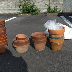 11/13 まで取引完了　0円　植木鉢(全数でなくても可)の画像