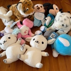 ぬいぐるみ　まとめて　無料‼️