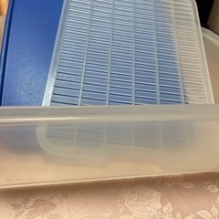 タッパーウェア mmダブル　ブルー　すのこ付き