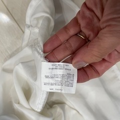 夏用シャツの画像