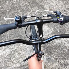 【取引中】THREE STONE 20インチ 折りたたみ自転車の画像