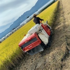２０２２年度米　新米　モミで３０キロ　ヒノヒカリ‼️