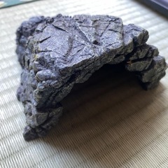 爬虫類　シェルター　温湿度計　隠れ家　水飲み場　水浴び場　GEX スドー　ビバリアの画像