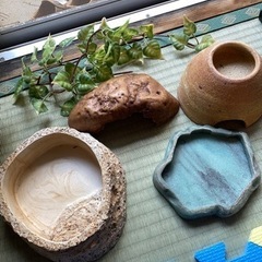 爬虫類　シェルター　温湿度計　隠れ家　水飲み場　水浴び場　GEX スドー　ビバリアの画像