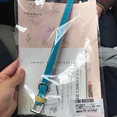 【新品】半額以下！首輪 SSサイズ✩.*˚