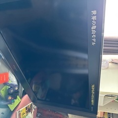 世界の亀山モデル　テレビ