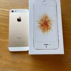 iphone SEの画像