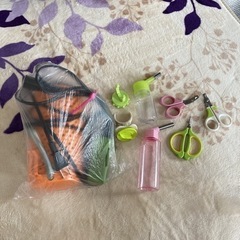 ✨中古✨フクロモモンガ アクリル製ゲージ 透明ケース ヒーターなど付属品付きの画像