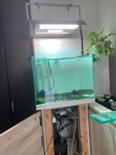 購入者決定しました　ADA水槽、エーハイム2217.ADAグランドソーラー等