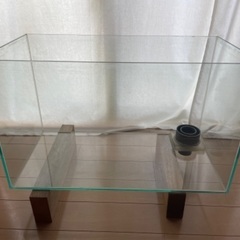 60cmオーバーフローガラス水槽
