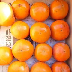 産直柿2キロ最終売り尽くし
