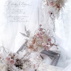 クリスマス　スペシャル　レッスンの画像