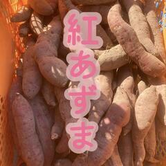 栗みたいな味！ホクホク紅あずま🍠
