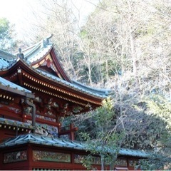高尾山に紅葉を見に行きませんか