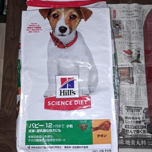 ドッグフード