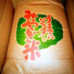 新米10㎏！是非一度ご賞味ください！農家直送！宮城県産たいへん美味しい特別栽培のひとめぼれ100％！の画像