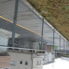 樹木伐採、剪定工、除草工なら成義工業 - 長浜市