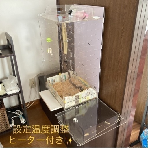 ✨中古✨フクロモモンガ アクリル製ゲージ 透明ケース ヒーターなど付属品付き