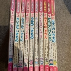 こどものずかんセット