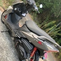 不動　PGOティグラ125の画像