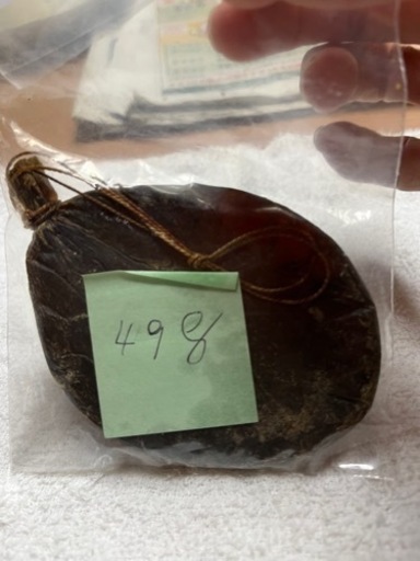 お取り引き中　　　　栃木県産　月の輪熊の胆嚢