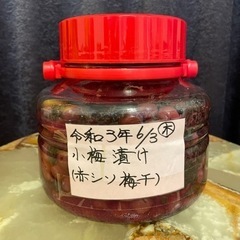 自家製梅干し