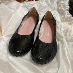 銀座　ワシントン靴店で購入した靴の画像