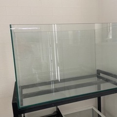 綺麗★60cmガラス水槽　60×30×36cm 中古美品