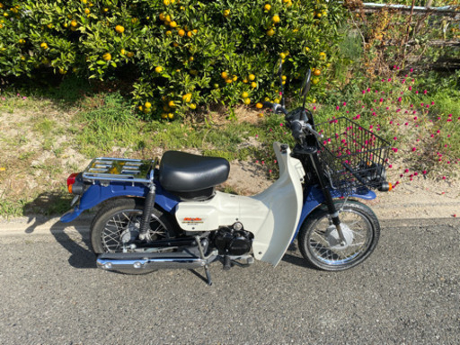 バーディー50 Fi インジェクション