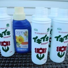 観音寺 生け花 切り花 延命剤セット イキイキ 5本 クリザール...